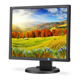 Монитор жидкокристаллический NEC Монитор LCD 19&#039;&#039; [5:4] 1280х1024(SXGA) IPS, nonGLARE, 250cd/m2, H178°/V178°, 1000:1, 16.7M Color, 6ms, VGA, DVI, DP, Height adj, Pivot, Tilt, HAS, Swivel, 3Y, Black